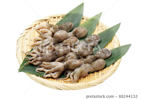 飯田子_02（有通行證） 88244132