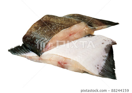 Nametagarei fillet_06 (with pass) 88244159