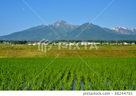 稻田和妙高山：天上的月亮 88244781