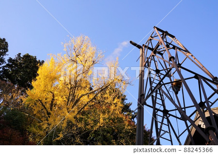 Gokuraku spring source and autumn leaves (Arima Onsen, Kobe City, Hyogo Prefecture) Gokuraku spring source and autumn leaves (Arima Onsen, Kobe City, Hyogo Prefecture) 88245366