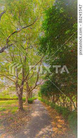 公園長廊 公園長廊 88245547