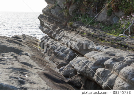 Tateyama City Okinoshima Fault 88245788