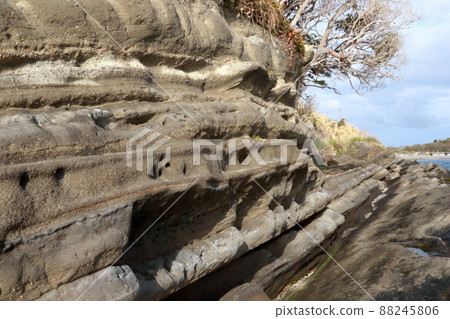Tateyama City Okinoshima Fault 88245806
