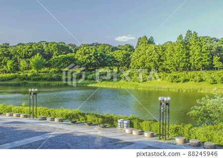 The scenery around the waterfront of Olympic Park 88245946