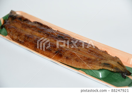 Packed eel Packed eel 88247921