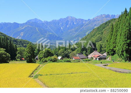 Autumn Hakuba Village Aoni Rice Fields View of the Northern Alps 88250090