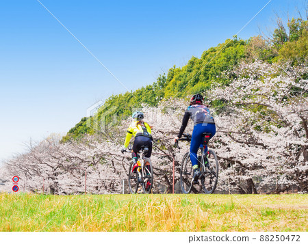 春天玉川櫻花盛開自行車道(府中市附近) 春天玉川櫻花盛開自行車道(府中市附近) 88250472