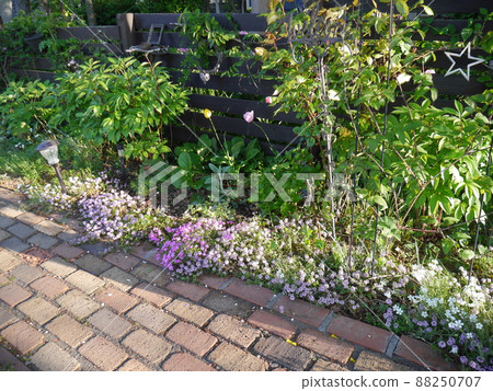 有各種春天花朵的明亮花園 有各種春天花朵的明亮花園 88250707