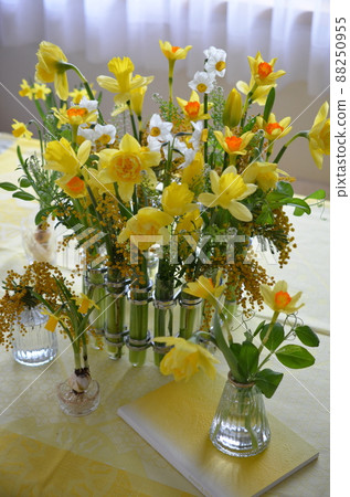 Narcissus test tube arrangement 88250955