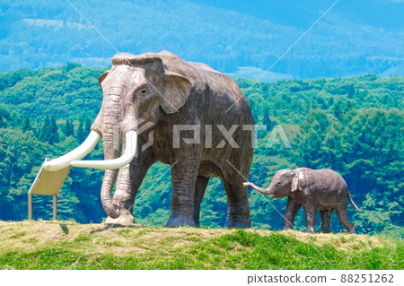 Parent-child statue of Lake Nojiri Nauman elephant along National Highway No. 18 on the shore of Lake Nojiri (Shinano Town, Nagano Prefecture) Parent-child statue of Lake Nojiri Nauman elephant along National Highway No. 18 on the shore of Lake Nojiri (Shinano Town, Nagano Prefecture) 88251262
