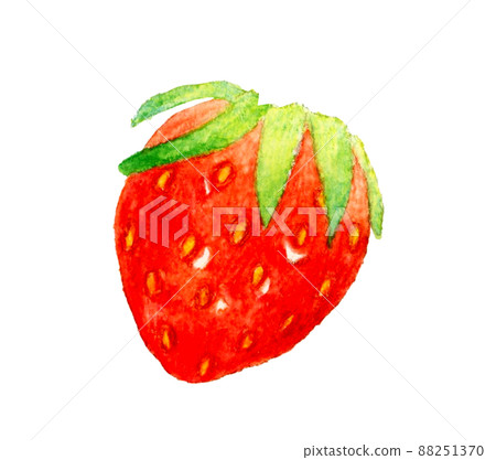 帶花萼的可愛草莓插圖(單品) 水果手繪水彩插圖素材 帶花萼的可愛草莓插圖(單品) 水果手繪水彩插圖素材 88251370