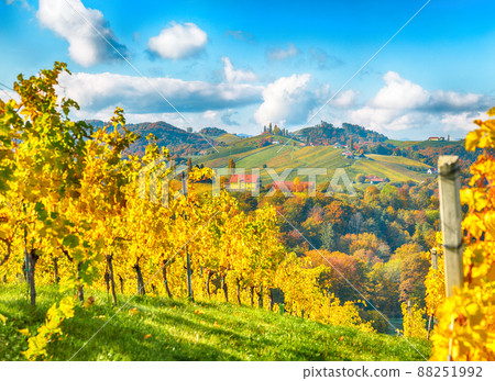 Fabulous vineyards landscape in South Styria near Gamlitz. Fabulous vineyards landscape in South Styria near Gamlitz. 88251992