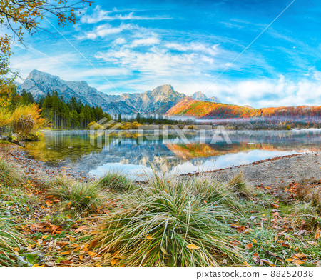 Outstanding autumn scene of foggy and sunny morning on Almsee lake Outstanding autumn scene of foggy and sunny morning on Almsee lake 88252038
