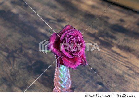 Rose single flower dried flower Rose single flower dried flower 88252133