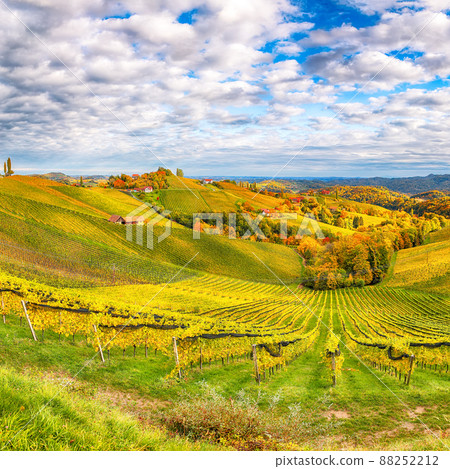 Splendid vineyards landscape in South Styria near Gamlitz. Splendid vineyards landscape in South Styria near Gamlitz. 88252212