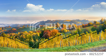 Breathtaking vineyards landscape in South Styria near Gamlitz. 88252237
