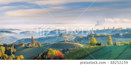 Fabulous vineyards landscape in South Styria near Gamlitz. 88252239