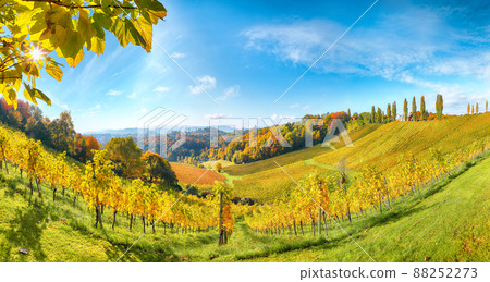 Fabulous vineyards landscape in South Styria near Gamlitz. 88252273