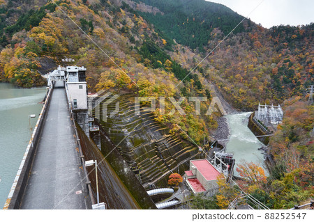 靜岡縣井川大壩和井川湖的秋色 靜岡縣井川大壩和井川湖的秋色 88252547
