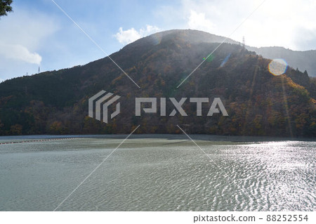 Autumn leaves of Lake Ikawa, Shizuoka Prefecture 88252554
