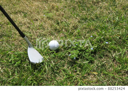 Spring golf course semi-rough ball and pitching wedge approach 88253424