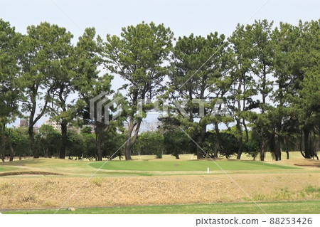 Image of spring golf course short hole green 88253426