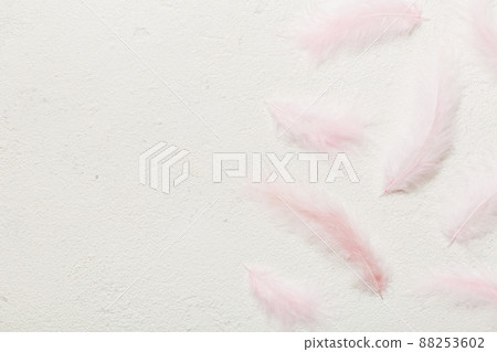 background of brightly colored dyed bird feathers on Colored background, top view. Copy space 88253602