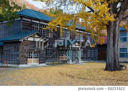 Ginkgo and nostalgic learning building 88253922