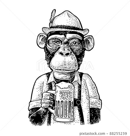 Monkey wearing a traditional Bavarian dress and holding beer mug. Vintage black vector engraving Monkey wearing a traditional Bavarian dress and holding beer mug. Vintage black vector engraving 88255239