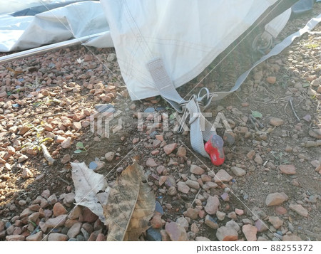 Camp: Pegging a tent Camp: Pegging a tent 88255372