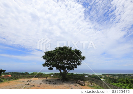 Okinawa Nakijin Nakijin Castle Ruins 88255475