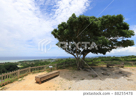 沖繩今歸仁今歸仁城跡 88255478