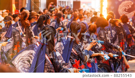 高知縣正宗夜來祭 高知縣正宗夜來祭 88255543