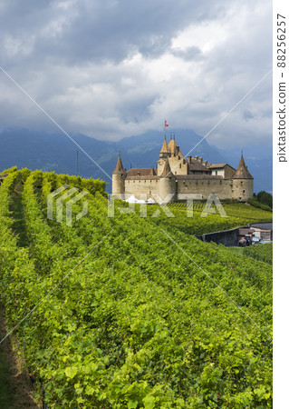 Castle Chateau d'Aigle in canton Vaud, Switzerland Castle Chateau d'Aigle in canton Vaud, Switzerland 88256257