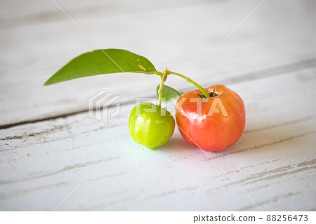 兩個金虎尾 兩個金虎尾 88256473