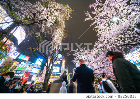 Tokyo cityscape of Japan Cherry blossoms are in full bloom. Co-starred with weeping cherry tree (left) this year. A child of a foreign family strokes Hachiko = 29th Tokyo cityscape of Japan Cherry blossoms are in full bloom. Co-starred with weeping cherry tree (left) this year. A child of a foreign family strokes Hachiko = 29th 88256815