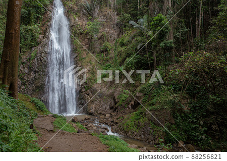 Thailand, Waterfall, Landscape - Scenery, Nature, Forest Thailand, Waterfall, Landscape - Scenery, Nature, Forest 88256821