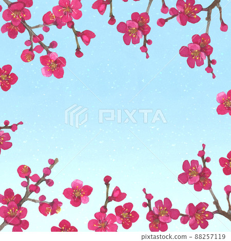 Watercolor illustration of plum blossoms 88257119