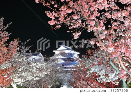 [愛媛縣] 松山城天守閣，夜晚櫻花盛開 88257396