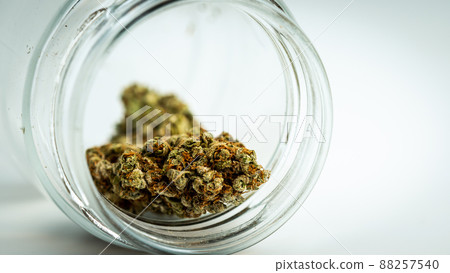 Close-up of medical marijuana buds on white background Close-up of medical marijuana buds on white background 88257540