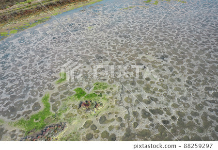 Mudflats of the Lagoon of Venice, Italy at low tide Mudflats of the Lagoon of Venice, Italy at low tide 88259297