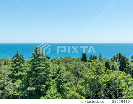 View of Miskhor Park and the Black Sea, Crimea 88259410
