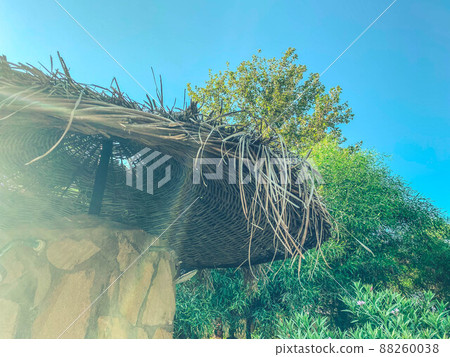 Large straw umbrellas with palm trees on the beach against the sea and sky. 88260038