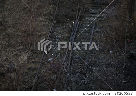 Abandoned railroad tracks. Steel rails overgrown with grass Abandoned railroad tracks. Steel rails overgrown with grass 88260558