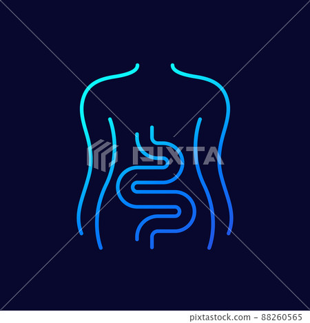 Intestines, colon line icon on dark Intestines, colon line icon on dark 88260565