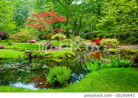 Idyllic view on  japanese garden  in the Hague - awe May in Netherlands 88260643