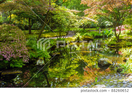 Amazing view on pond in japanese garden in the Hague Amazing view on pond in japanese garden in the Hague 88260652