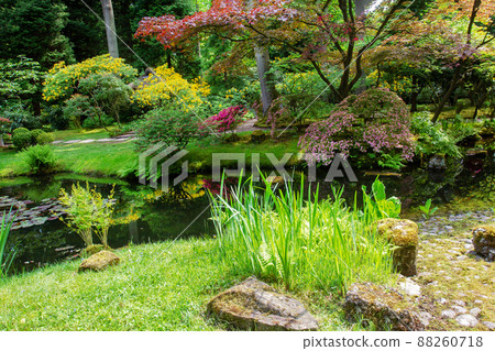 Pond and reflections in japanese garden. In bloom - end of May Pond and reflections in japanese garden. In bloom - end of May 88260718