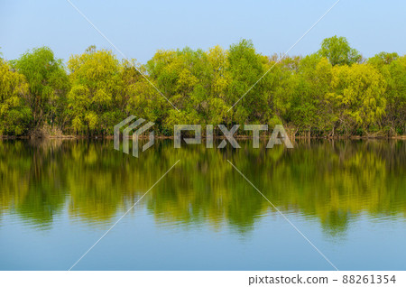 (Saitama Prefecture) Spring scene-Aya Lake, blue sky and fresh green 88261354