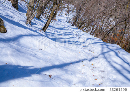 Image of winter mountains, snowy mountain road (Kurodake, Yamanashi Prefecture) 88261396